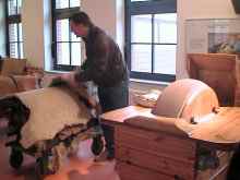 Bild kann vergr&ouml;&szlig;ert werden